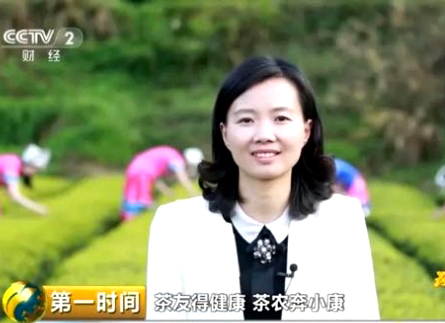 习覃央视为伍家台贡茶做代言