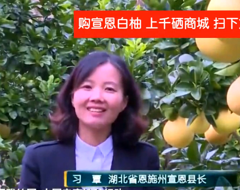习覃央视为宣恩白柚做代言
